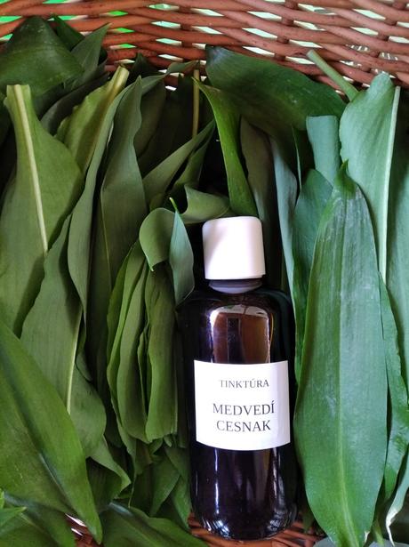 Medvedi cesnak - tinktura, 