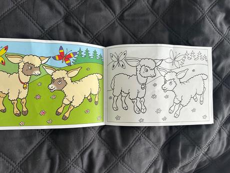 Omaľovánka mláďatká, 