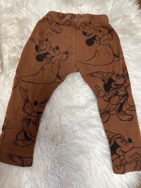 Leginy zara, zara,92