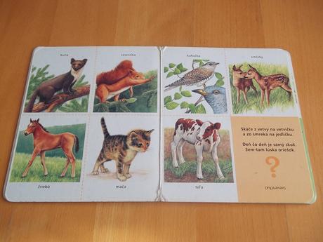 Knižka - prasiatko hľadá zvieratká.,