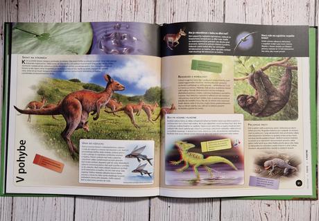 Enciklopedia s 3d obrazkami. "risa zvierat", 