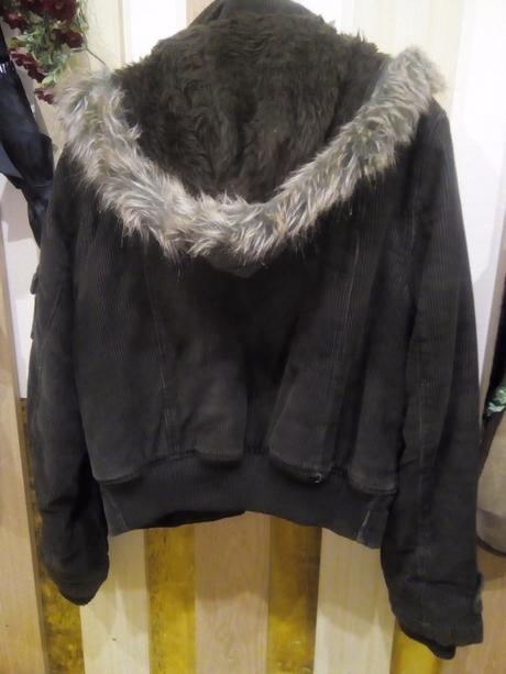 Mencestrova bundicka, l