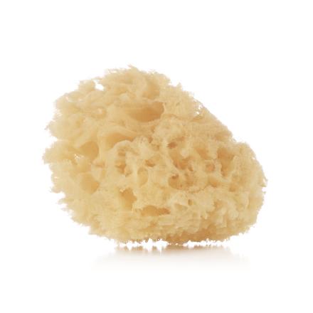 Špongia na kúpanie bábätiek natural, 