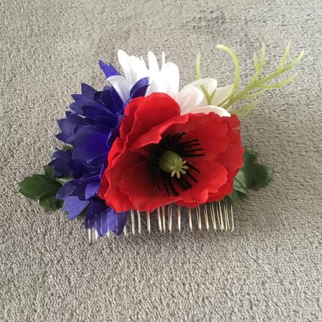 Hrebienok do vlasov trikolóra, 