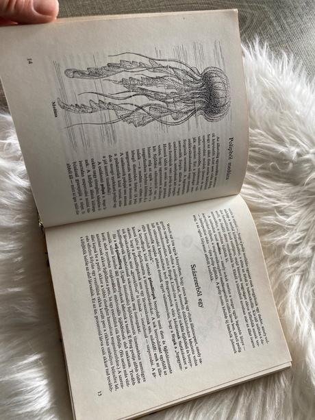 Az állatok násza svadobné tance zvierat (1980),