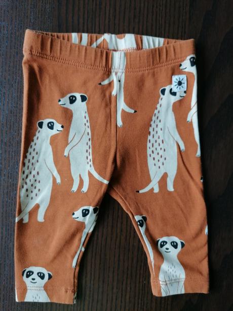 Leginky surikata, lindex,50