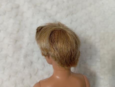 Barbie ken chlapci 2,