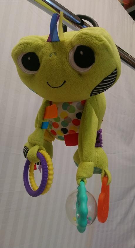 Plyšová zavesovacia žaba, bright starts, 20 cm,