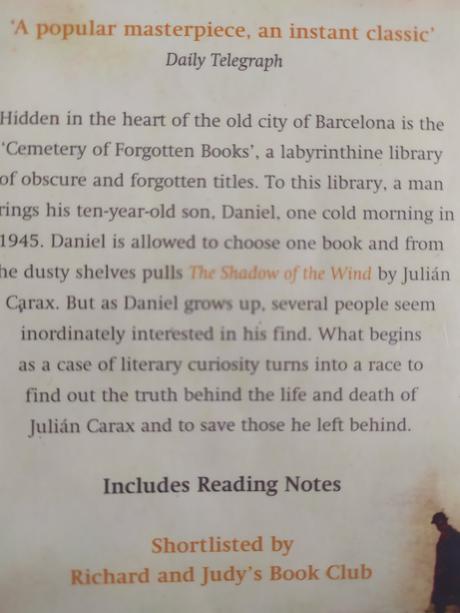 The shadow of the wind, 