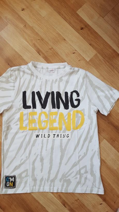 Chlapčenské tričko, coccodrillo,146