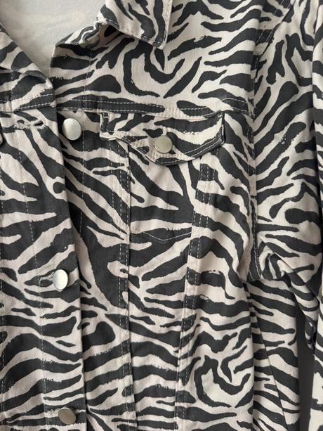 Zebrova riflovka, h&m,170