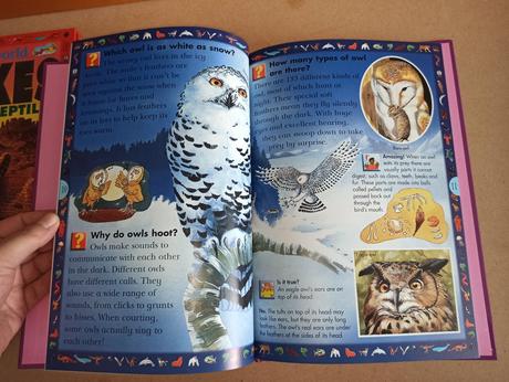 Wild wild world - spiders / snakes,