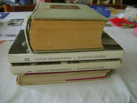 Česko anglický slovník, 