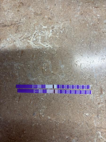 Mama test na 7. deň po ovulácii