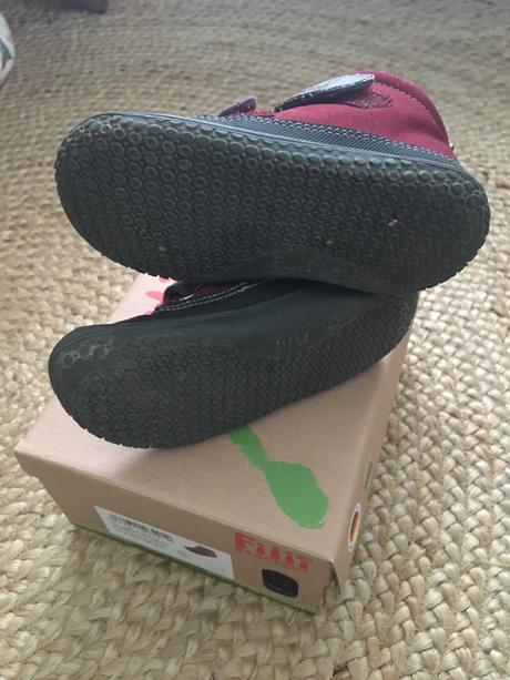 Topanky fillii, filii,23