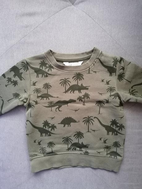 Mikina s dinosaurami, h&m,104