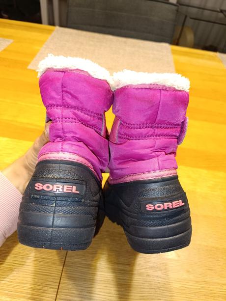 Snehule sorel, sorel,28