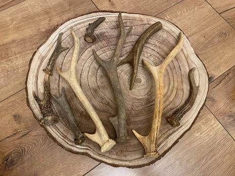 Parôžky - parožie, 