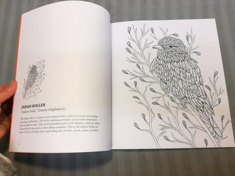 Georgie woolridge birds colouring book nsp22,
