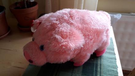 Plyšové prasiatko - 40 x 24 x 19 cm,