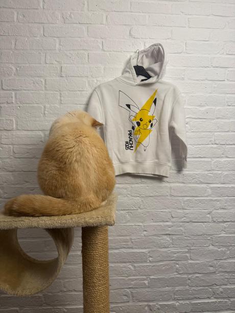 Pikatchu mikina, zara,128