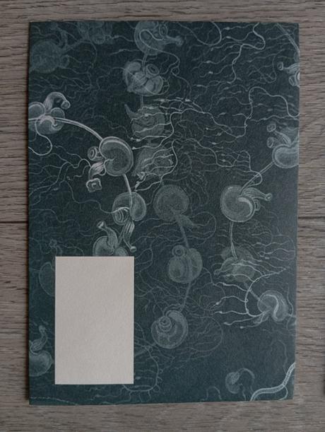 Gratulačné obálky narodeniny svadba,