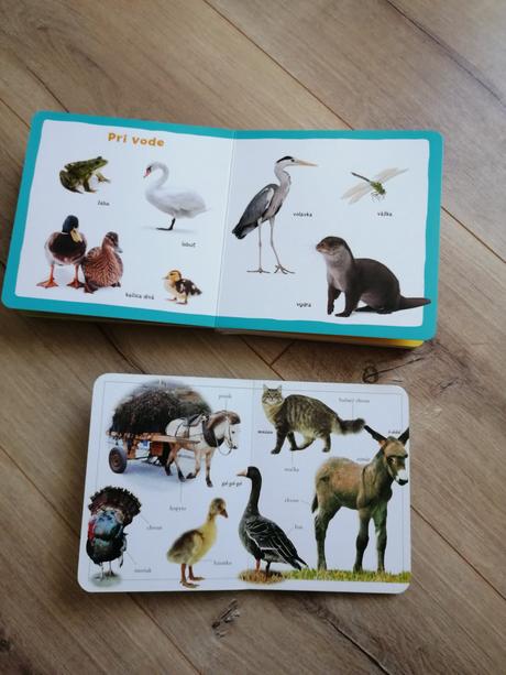 Mojich prvých 100 zvierat,