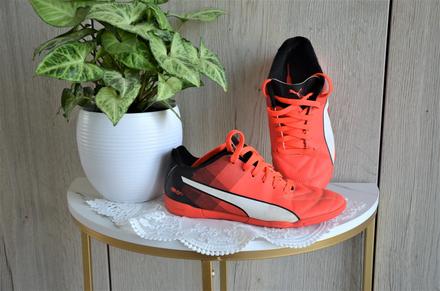 Sálovky puma-38, puma,38