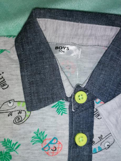 Tričká chameleón, 104