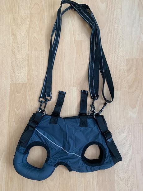 Rehabilitačný postroj, 