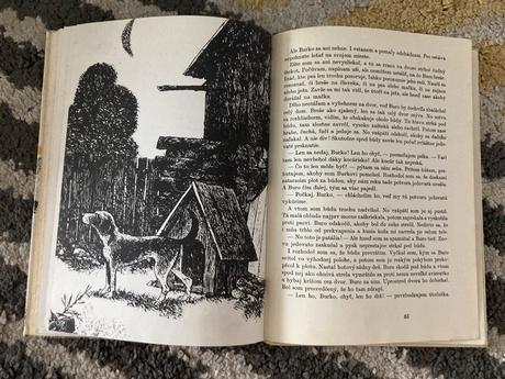 Medvieďa zo studenej doliny (1970),