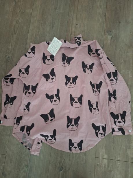 Kosela dogie, m