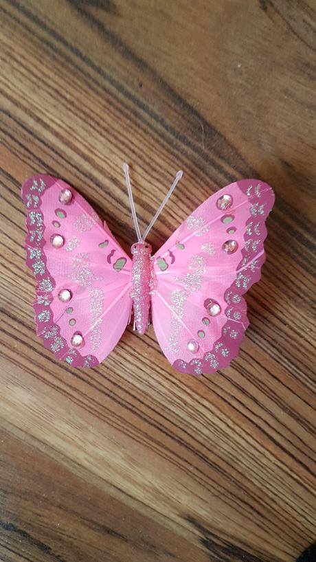 Motyle na dekoraciu, 