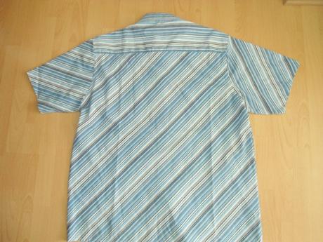 Kosela bledy modry pasik, l