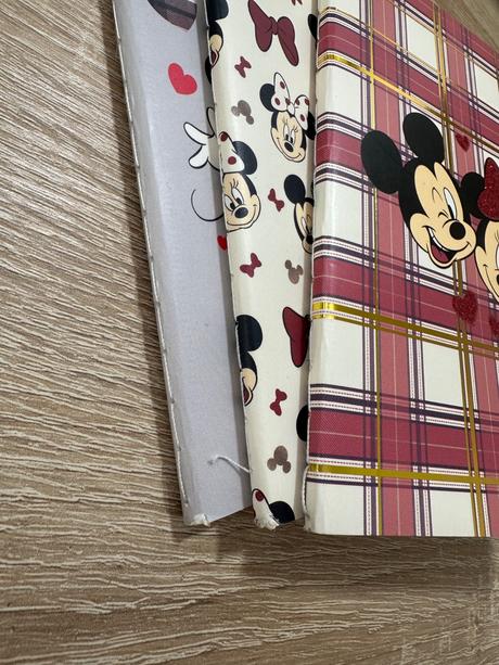 Mickey mouse zápisníky, 