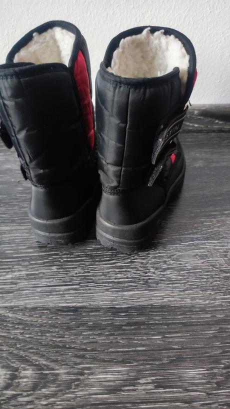 Predám snehule č. 31, 31