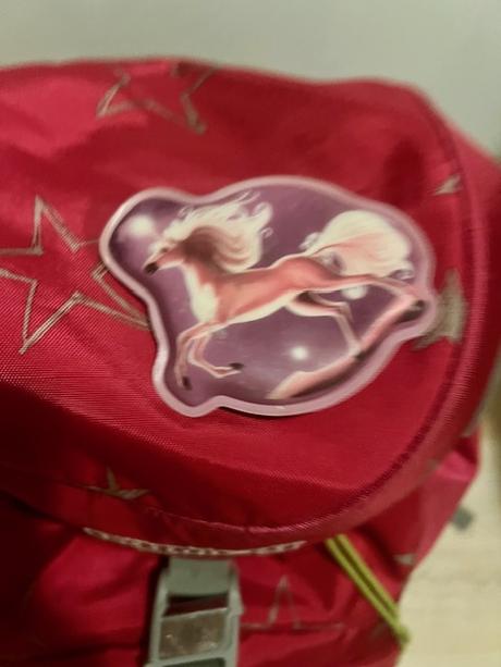 Ergoba skolska taska, 