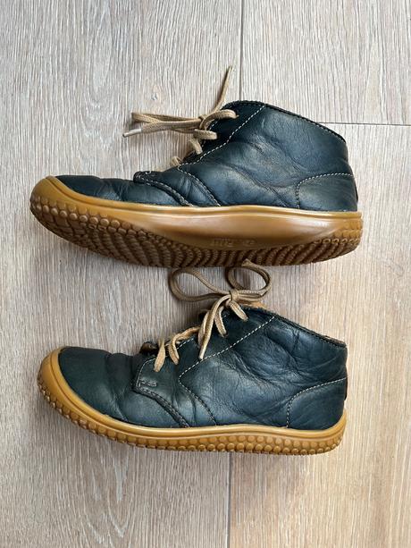 Filii gecko veľ. 28, filii,28