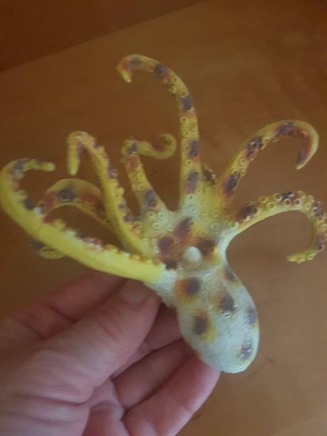 Chobotnica/medúza, 