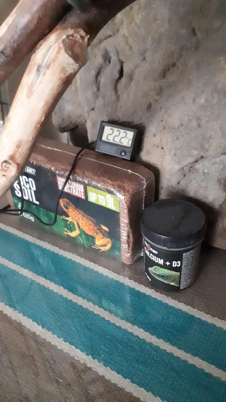 Terárium s rozmermi 50x50x90, príslušenstvo v cene,