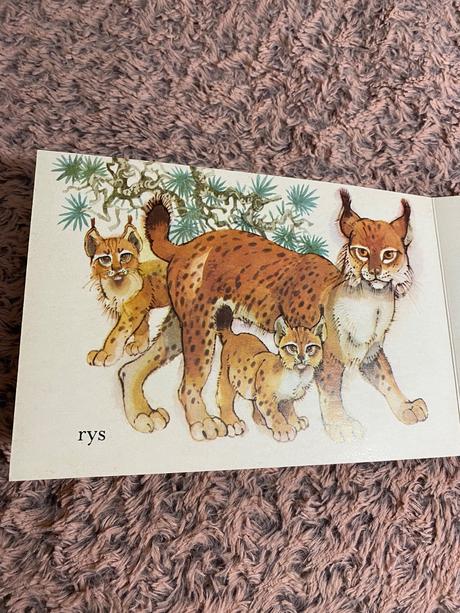 Krásne staré retro leporelo mezi zvířátky v lese,