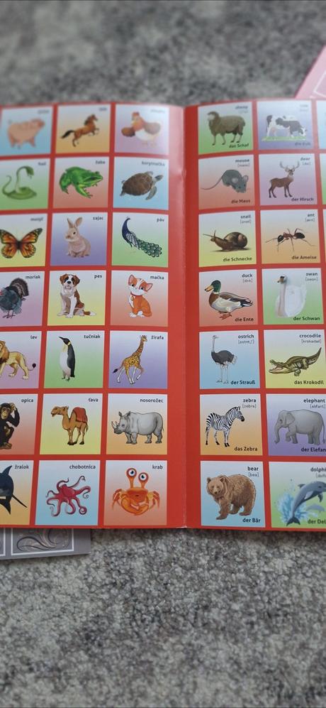 Trojjazyčné pexeso, 