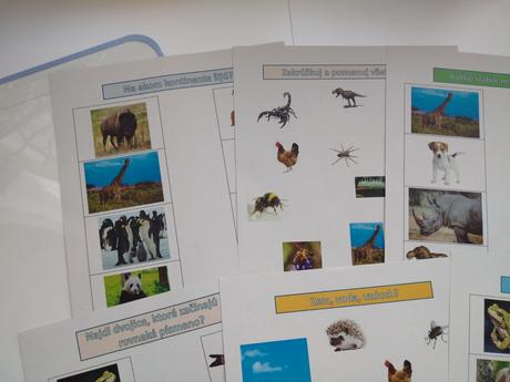 Montessori aktivity, 