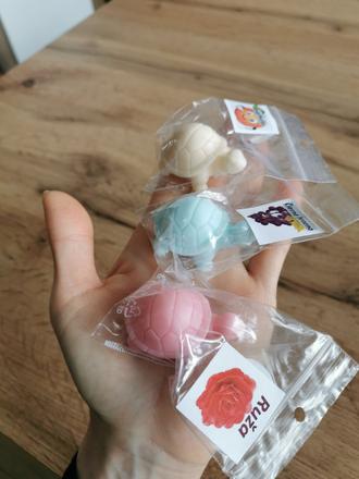 Minimydlá korytnačky, 