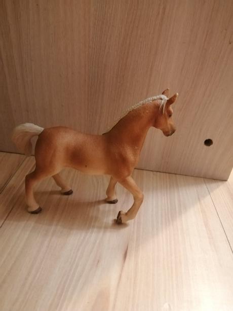 Schleich kone, 