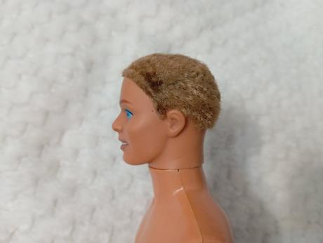 Barbie ken chlapci 2,