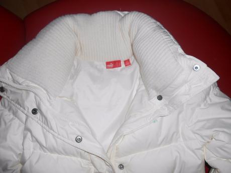 Bundička puma, puma,s