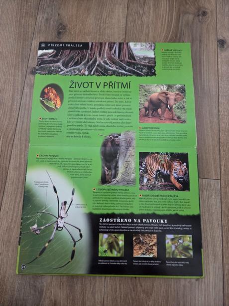 Deštný prales - trojrozmerny pruzkumnik uzivany s,