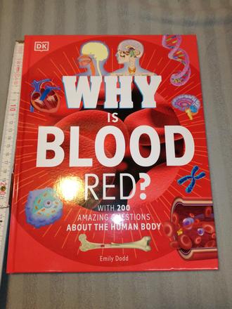 Why si blood red sp22,