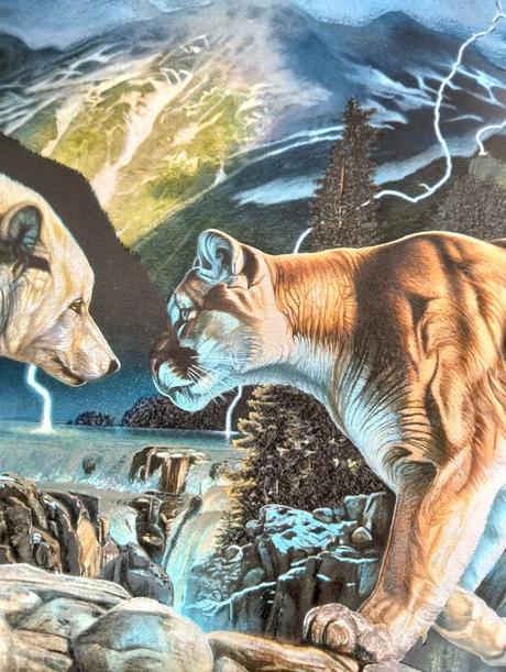 Meniaci sa obrázok, 